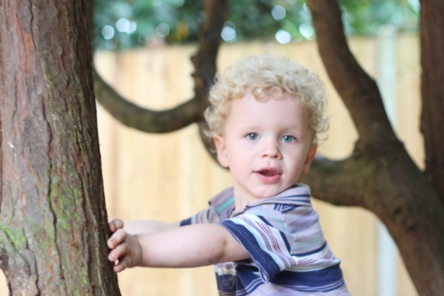 In the Trees