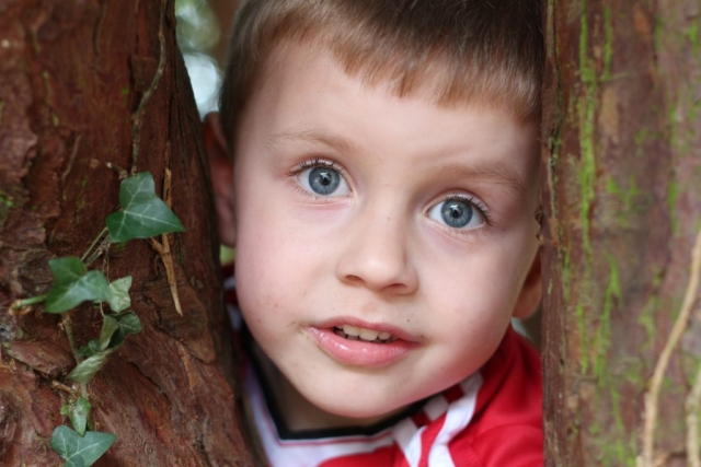 In the trees